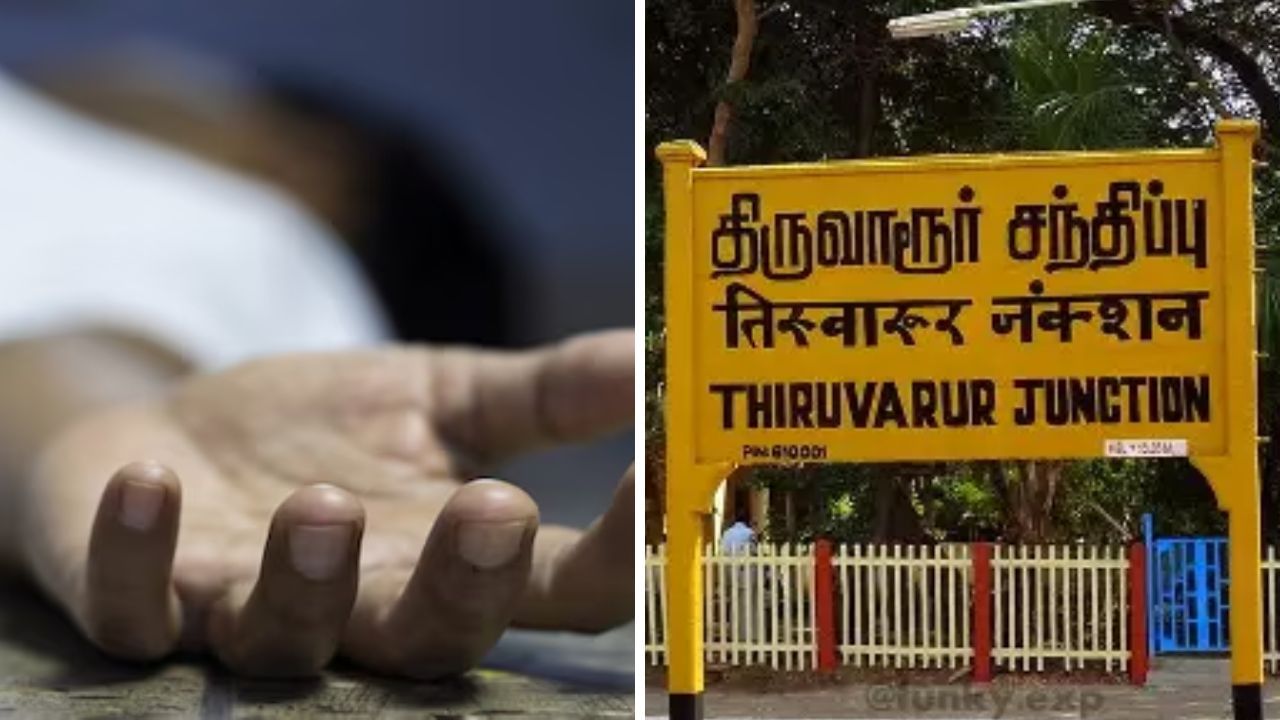 ஆம்னி வேனும் பேருந்தும் நேருக்கு நேர் மோதி விபத்து… 4 பேர் பலி.. திருவாரூரில் சோகம்! ஆம்னி வேனும் பேருந்தும் நேருக்கு நேர் மோதி விபத்து… 4 பேர் பலி.. திருவாரூரில் சோகம்!