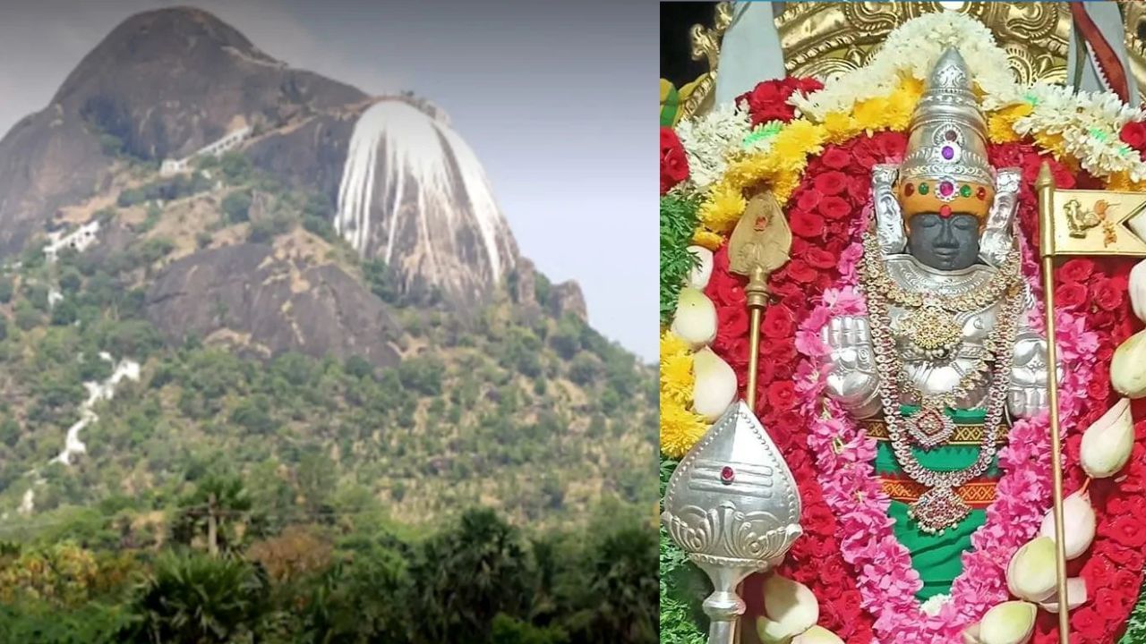 வேண்டிய வரங்கள் அருளும் தோரண மலை முருகன்.. இந்த கோயில் தெரியுமா? வேண்டிய வரங்கள் அருளும் தோரண மலை முருகன்.. இந்த கோயில் தெரியுமா?