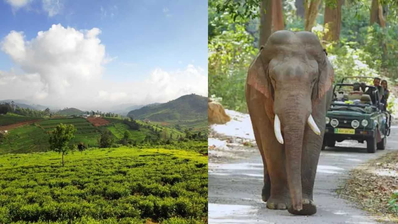 ஊட்டிக்கு போறீங்களா? தொட்டபெட்டா செல்ல சுற்றுலா பயணிகளுக்கு தடை