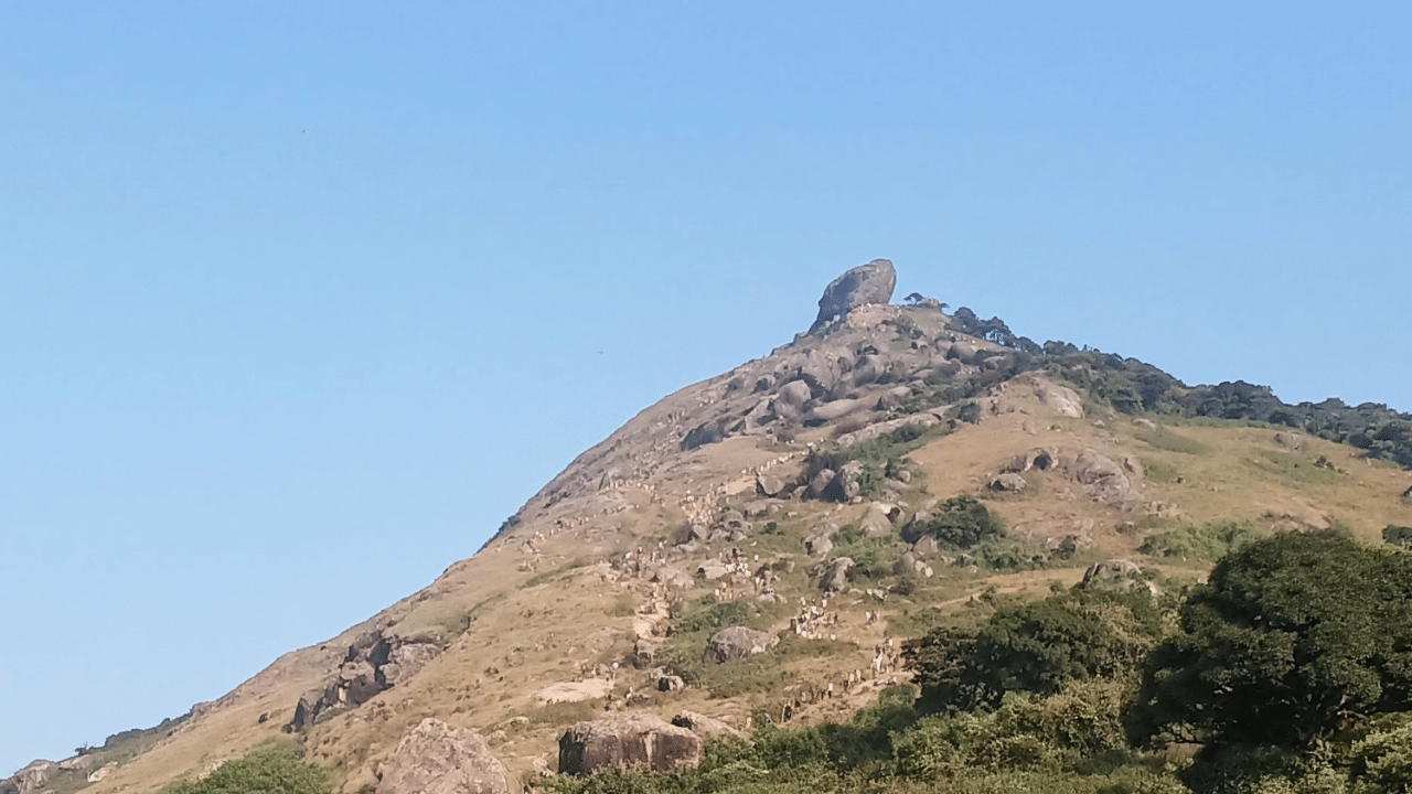 கோவை வெள்ளியங்கிரி மலைக்கு சென்று திரும்பிய சிறுவன் பலி - என்ன நடந்தது? கோவை வெள்ளியங்கிரி மலைக்கு சென்று திரும்பிய சிறுவன் பலி - என்ன நடந்தது?