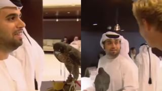 Viral Video : பறவை தண்ணீரில் நடக்கிறதா..? மில்லியன் மக்களைக் குழப்பிய வீடியோவை பாருங்கள்!