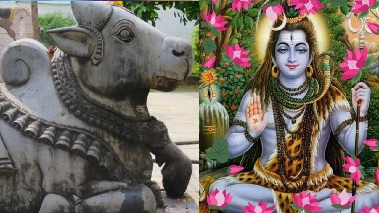 வைகாசி அமாவாசை.. ஒரே இடத்தில் கூடும் 12 சிவபெருமான்.. எங்கு தெரியுமா? வைகாசி அமாவாசை.. ஒரே இடத்தில் கூடும் 12 சிவபெருமான்.. எங்கு தெரியுமா?