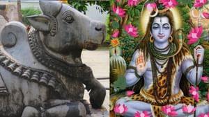 வைகாசி அமாவாசை.. ஒரே இடத்தில் கூடும் 12 சிவபெருமான்.. எங்கு தெரியுமா?