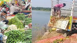 தெரு நாய்களால் தொடரும் தொல்லை… பெண் ஐஏஎஸ் அதிகாரியை நாய் கடித்ததால் பரபரப்பு