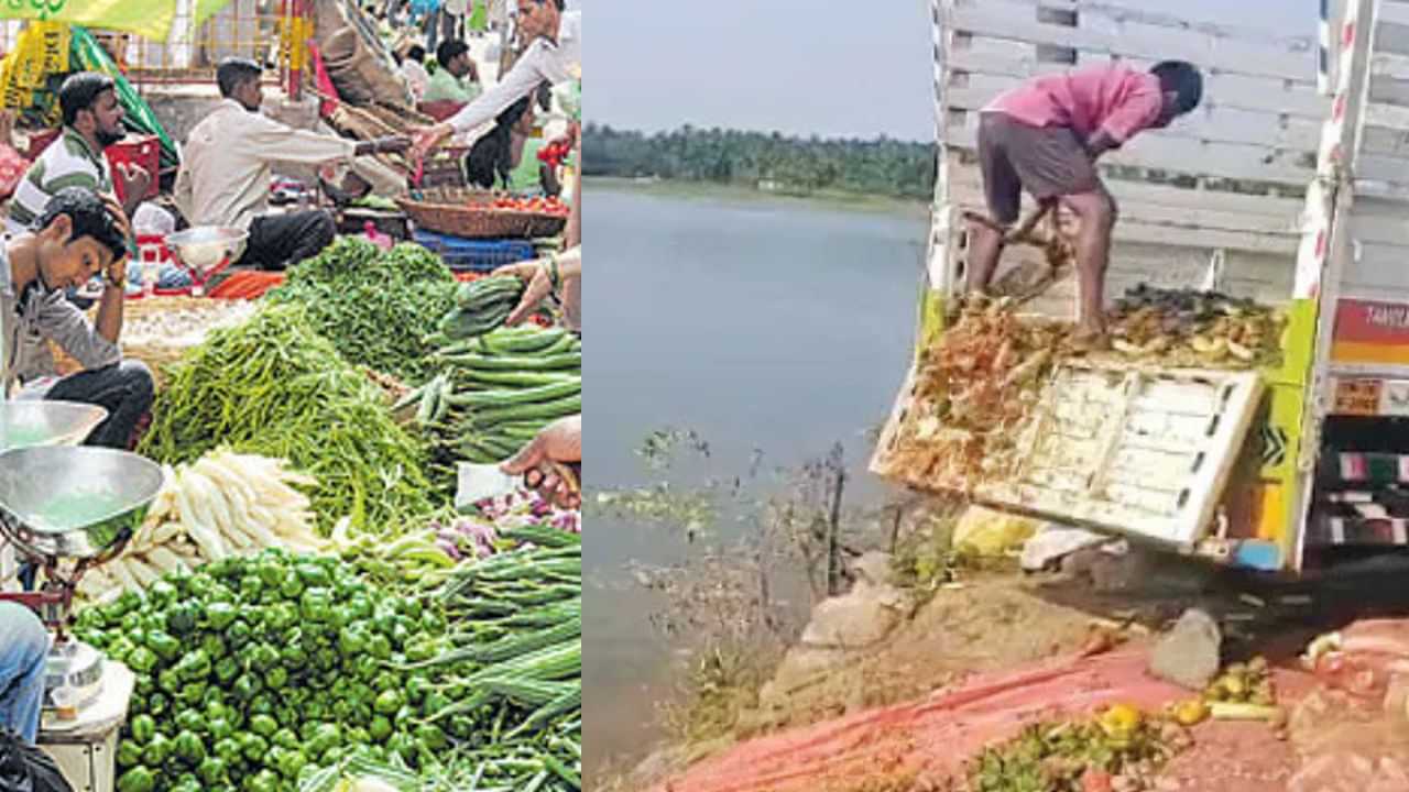 ஏரிகளில் மீன்களுக்கு டன் கணக்கில் கொட்டப்படும் காய்கறிகள்: காரணம் இதுதான்... ஏரிகளில் மீன்களுக்கு டன் கணக்கில் கொட்டப்படும் காய்கறிகள்: காரணம் இதுதான்...