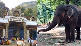 சாதிக்க வயதில்லை… 70 வயதில் பொதுத்தேர்வில் வென்று அசத்திய மூதாட்டி…