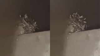 Viral Video : லண்டனில் இளநீர் விற்பனை செய்யும் இங்கிலாந்தவர்.. இணையத்தை ஆச்சர்யத்தில் ஆழ்த்திய வீடியோ!