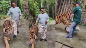 Viral Video : புகைப்படம் எடுக்க முயன்ற இளைஞரை திடீரென தாக்கிய புலி.. அதிர்ச்சியை ஏற்படுத்தும் பகீர் வீடியோ!