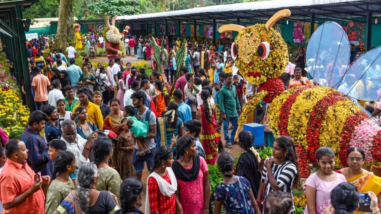 ஏற்காடு 48-வது கோடை விழா மற்றும் மலர் கண்காட்சி: ஒரு பார்வை ஏற்காடு 48-வது கோடை விழா மற்றும் மலர் கண்காட்சி: ஒரு பார்வை