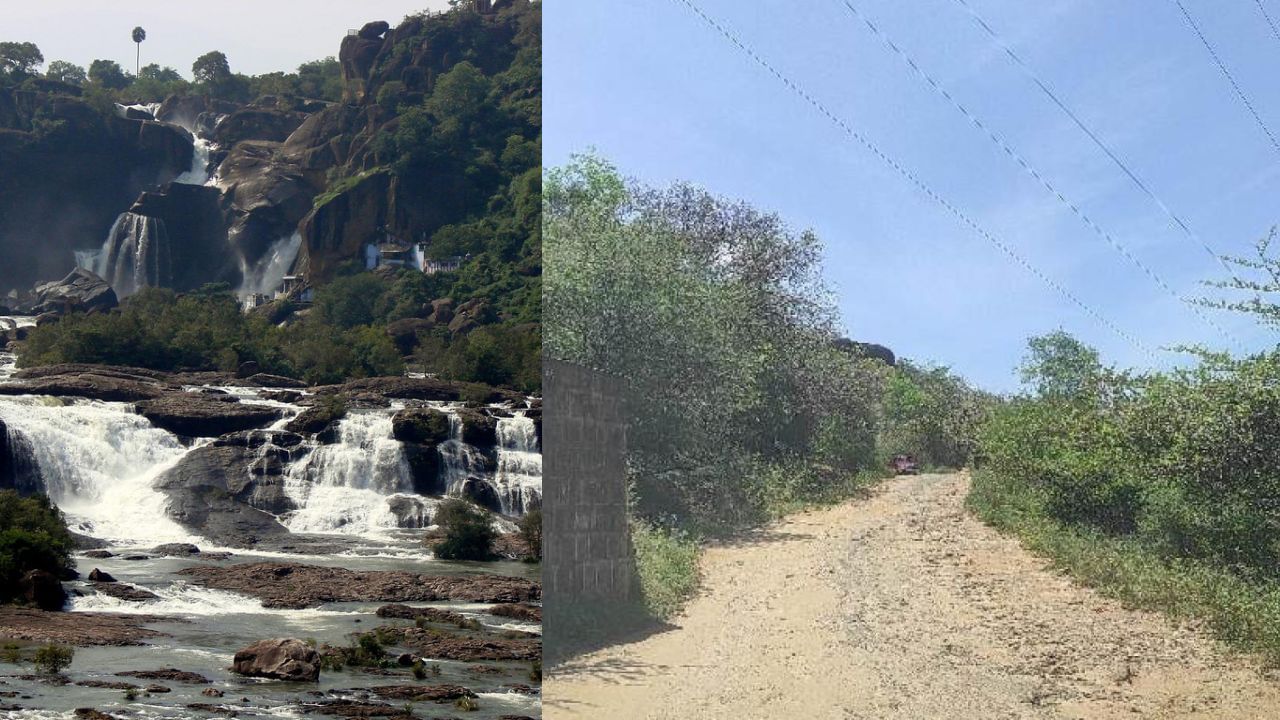 பாபநாசம்: காசு வாங்குறாங்க… ஆனால் முக்கிய வசதி இல்லை: சுற்றுலாப்பயணிகள் குற்றச்சாட்டு பாபநாசம்: காசு வாங்குறாங்க… ஆனால் முக்கிய வசதி இல்லை: சுற்றுலாப்பயணிகள் குற்றச்சாட்டு