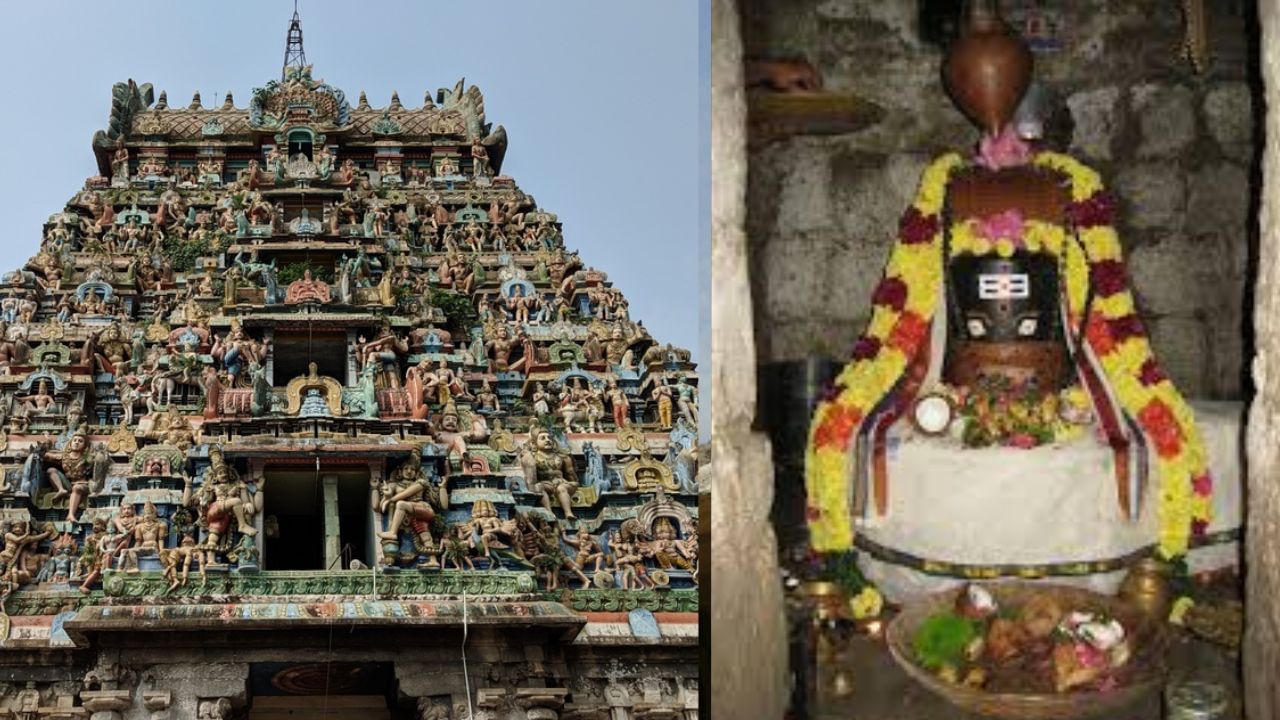 பரணி நட்சத்திரமா நீங்கள்?.. கட்டாயம் வழிபட வேண்டிய கோயில் இதுதான்! பரணி நட்சத்திரமா நீங்கள்?.. கட்டாயம் வழிபட வேண்டிய கோயில் இதுதான்!