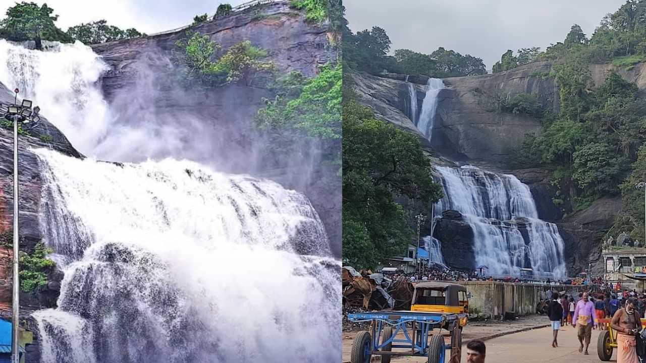 குற்றால அருவிகளில் வெள்ளப்பெருக்கு: அருவிகளில் குளிக்க தடை