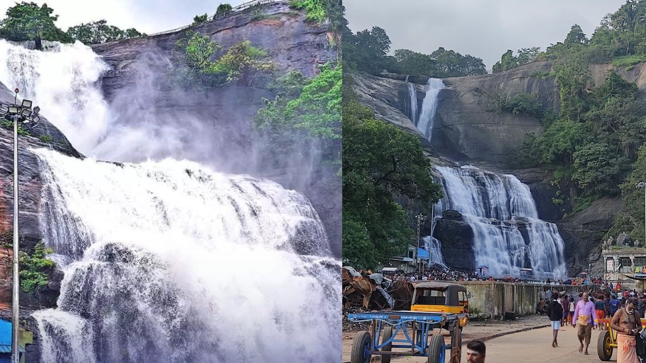 குற்றால அருவிகளில் வெள்ளப்பெருக்கு: அருவிகளில் குளிக்க தடை குற்றால அருவிகளில் வெள்ளப்பெருக்கு: அருவிகளில் குளிக்க தடை