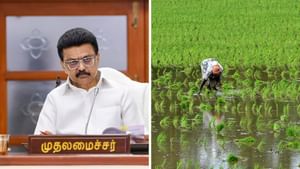 விவசாயிகளுக்கு குட்  நியூஸ்.. நெல் கொள்முதல் விலை உயர்வு.. முதல்வர் ஸ்டாலின் அறிவிப்பு