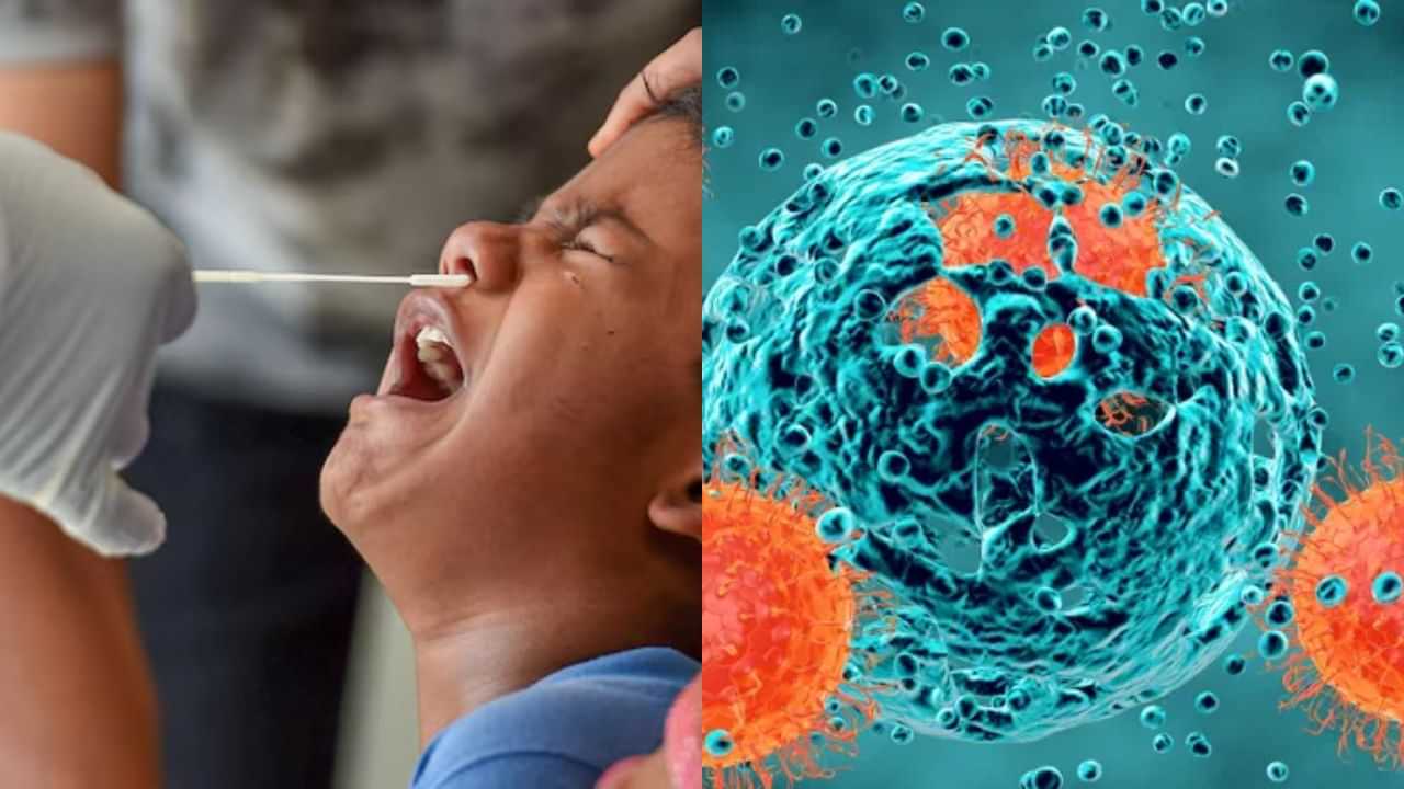 Corona Virus : கடந்த 24 மணி நேரத்தில் 391 பேருக்கு கொரோனா தொற்று உறுதி.. 4 பேர் பலி!