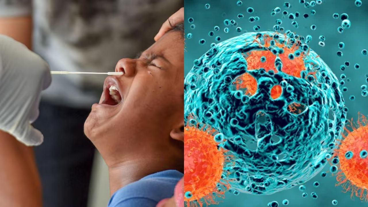 Corona Virus : கடந்த 24 மணி நேரத்தில் 391 பேருக்கு கொரோனா தொற்று உறுதி.. 4 பேர் பலி! Corona Virus : கடந்த 24 மணி நேரத்தில் 391 பேருக்கு கொரோனா தொற்று உறுதி.. 4 பேர் பலி!