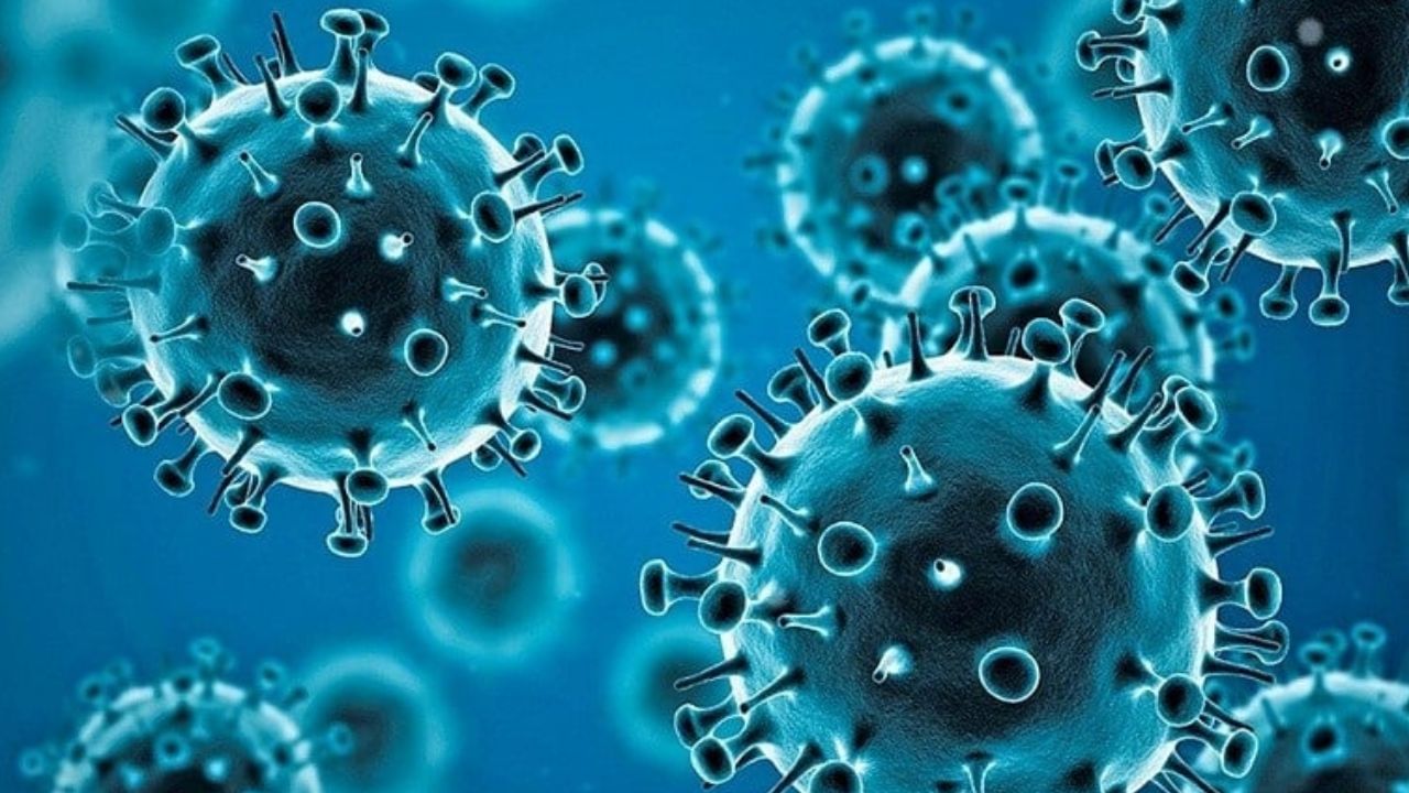 COVID-19 Cases in India: இந்தியாவில் 7 ஆயிரத்தை நெருங்கும் கொரோனா பாதிப்பு.. உச்சத்தில் கேரளா! இன்று மட்டும் இவ்வளவு பாதிப்பா..? COVID-19 Cases in India: இந்தியாவில் 7 ஆயிரத்தை நெருங்கும் கொரோனா பாதிப்பு.. உச்சத்தில் கேரளா! இன்று மட்டும் இவ்வளவு பாதிப்பா..?