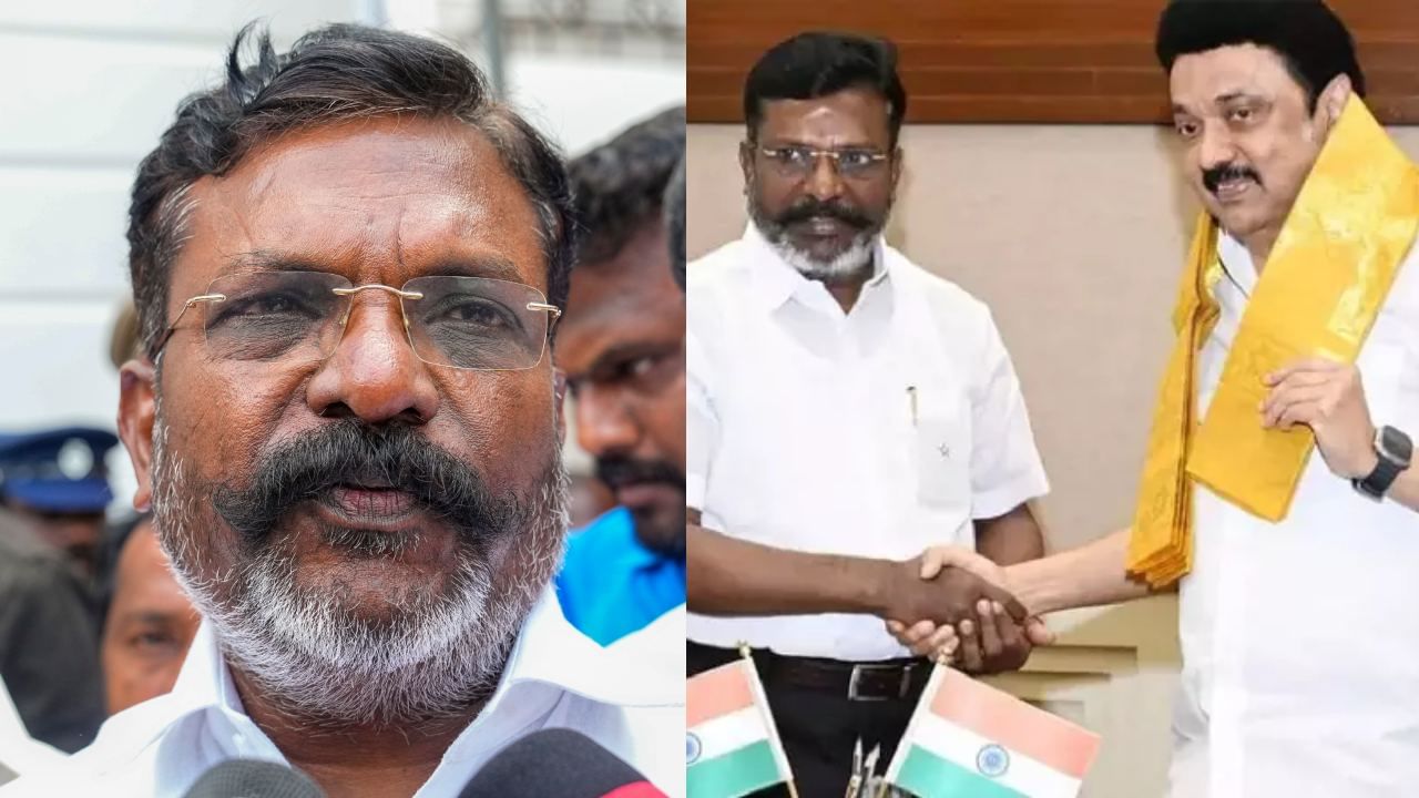 Thirumavalavan: 2026 சட்டமன்ற தேர்தலிலும் திமுக அமோக வெற்றி பெறும்.. உறுதியாக சொன்ன திருமாவளவன்! Thirumavalavan: 2026 சட்டமன்ற தேர்தலிலும் திமுக அமோக வெற்றி பெறும்.. உறுதியாக சொன்ன திருமாவளவன்!