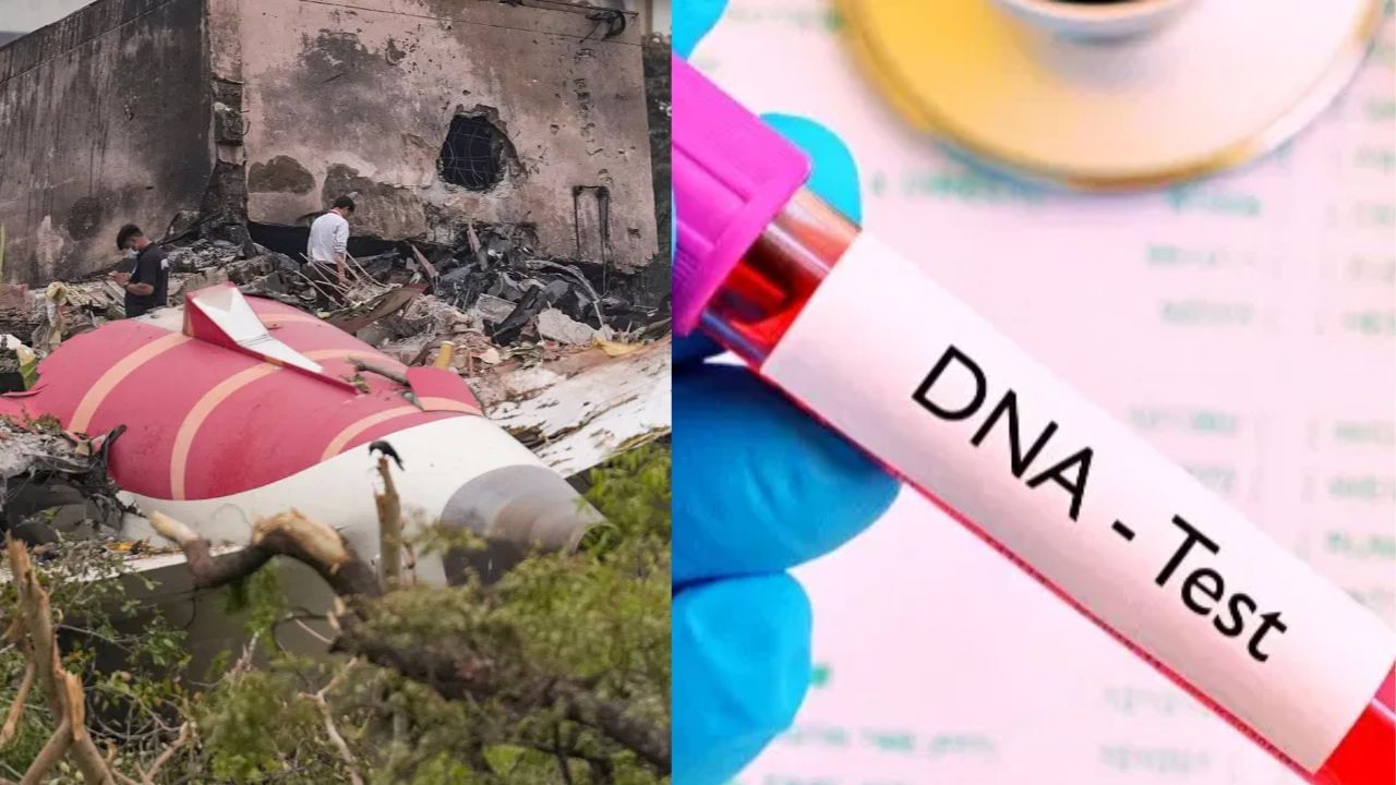 Air India Crash : முற்றிலும் கருகி போன உடல்கள்.. DNA பறிசோதனை மூலம் அடையாளம் காணப்படும் அவலம்! Air India Crash : முற்றிலும் கருகி போன உடல்கள்.. DNA பறிசோதனை மூலம் அடையாளம் காணப்படும் அவலம்!