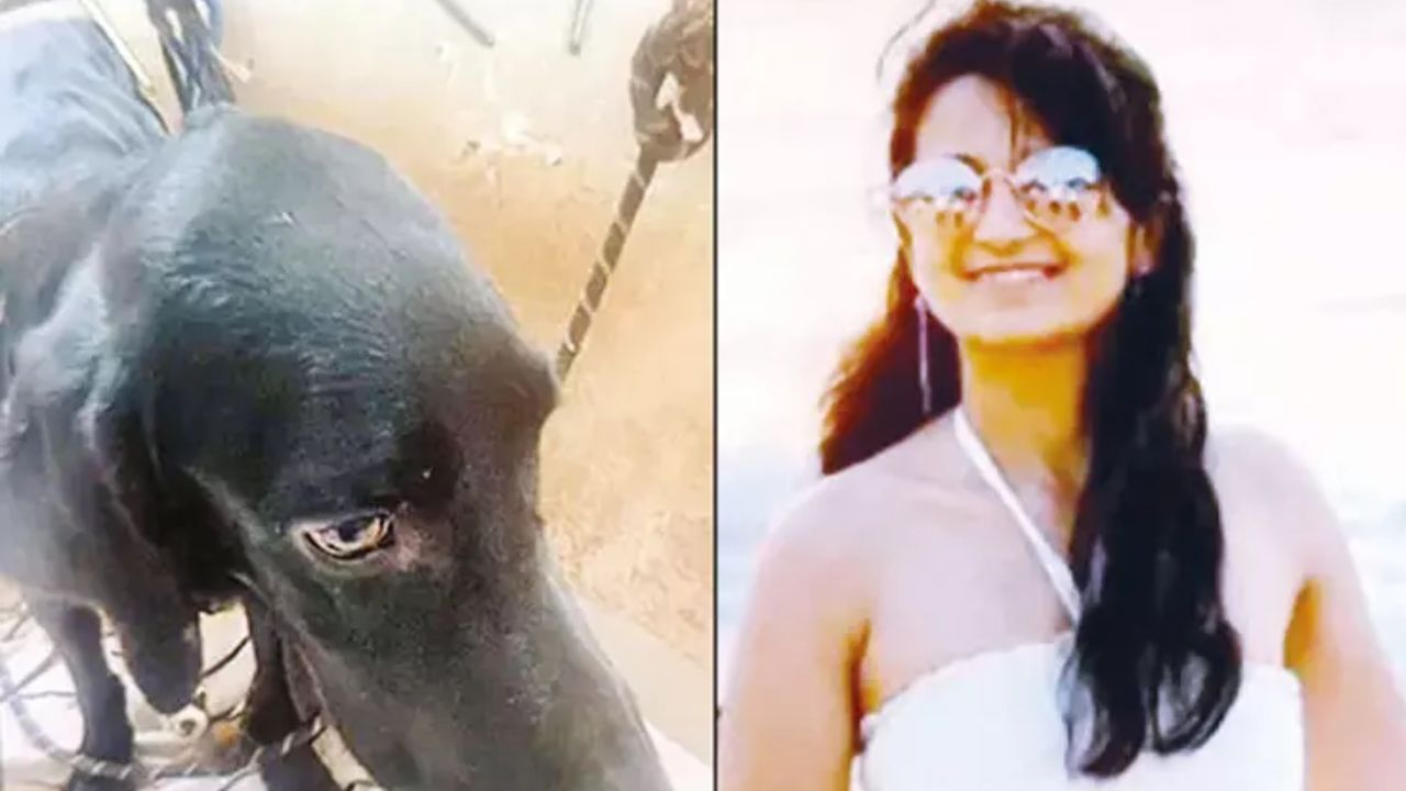 மன அழுத்தத்தை போக்க மாந்திரீக பூஜை.. வளர்ப்பு நாயை கொலை செய்து துண்டு துண்டாக வெட்டிய பெண்!
