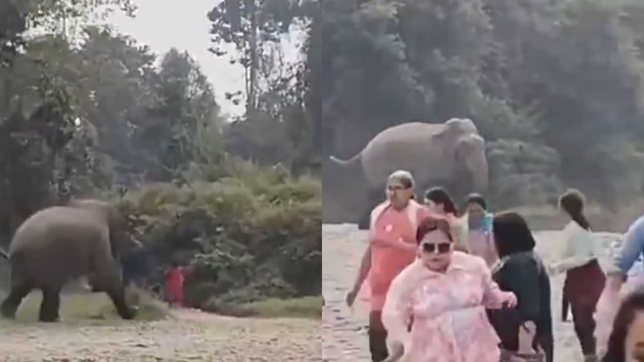 Viral Video : ஓடுங்க ஓடுங்க.. திடீரென துரத்த தொடங்கிய யானை.. அலறி அடித்துக்கொண்டு ஓடிய சுற்றுலா பயணிகள்!