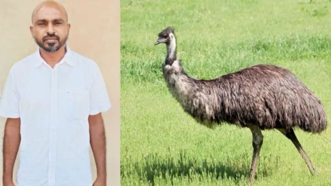 EMU Scam: ஈமு கோழி மோசடி.. சுசி உரிமையாளருக்கு 10 ஆண்டுகள் சிறை! EMU Scam: ஈமு கோழி மோசடி.. சுசி உரிமையாளருக்கு 10 ஆண்டுகள் சிறை!
