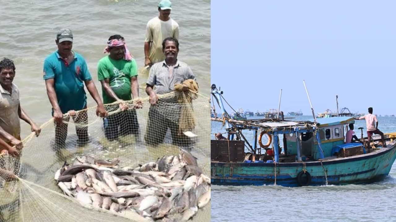 தமிழகத்தில் மீன்களின் விலை குறைய வாய்ப்பு... இன்றுடன் முடியும் மீன்பிடி தடைக்காலம் ...