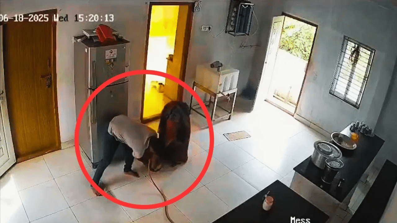 Viral Video : கேஸ் சிலிண்டரில் திடீரென ஏற்பட்ட கசிவு – நடுங்க வைக்கும் சிசிடிவி காட்சிகள் Viral Video : கேஸ் சிலிண்டரில் திடீரென ஏற்பட்ட கசிவு – நடுங்க வைக்கும் சிசிடிவி காட்சிகள்