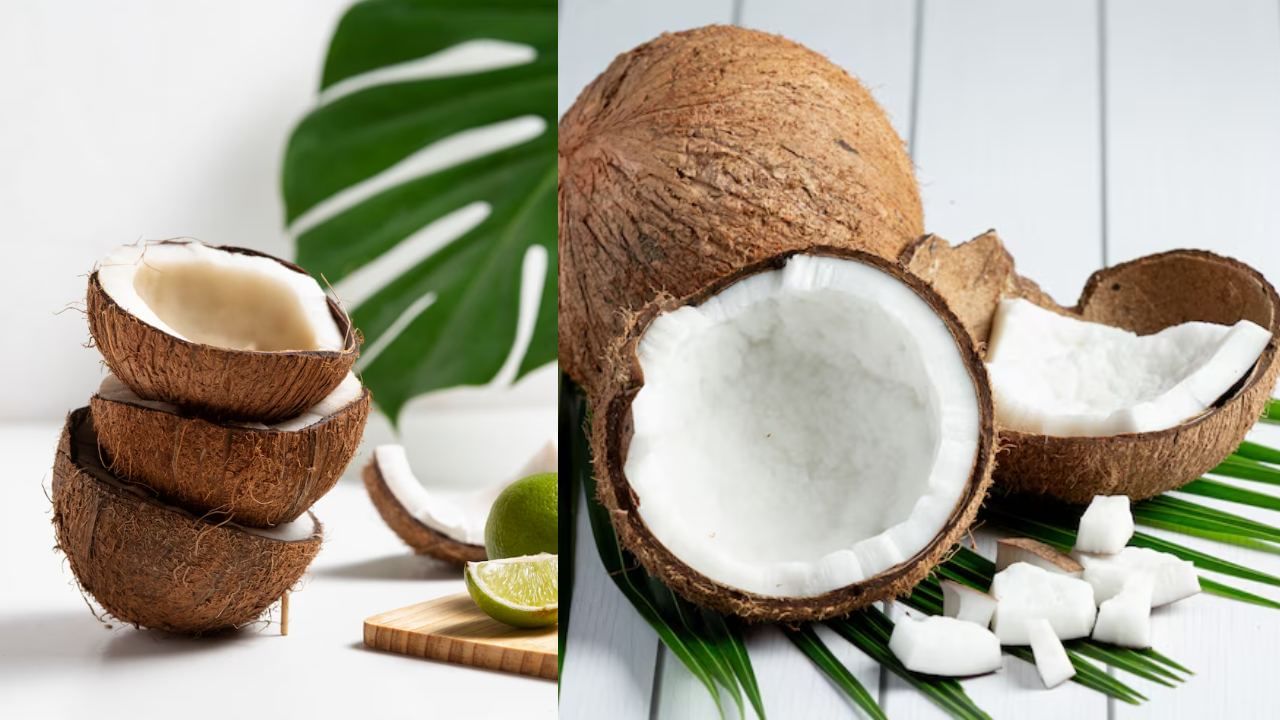 Coconut Storage: தேங்காய் விரைவாக கெட்டுப்போகிறதா..? இப்படி செய்தால் 6 மாதம் வரை ஃப்ரஷாக இருக்கும்! Coconut Storage: தேங்காய் விரைவாக கெட்டுப்போகிறதா..? இப்படி செய்தால் 6 மாதம் வரை ஃப்ரஷாக இருக்கும்!