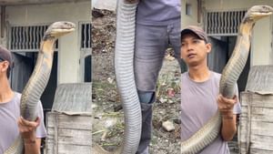Viral Video : ஆத்தாடி.. இவ்வளவு பெரிய ராஜநாகமா?.. நடுங்க வைக்கும் வீடியோ!