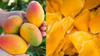 Natural Hair Care: மா தோலை தூக்கி எறியாதீர்கள்! இது முடி வளர்ச்சியை வலுப்படுத்தும் அருமருந்து..!