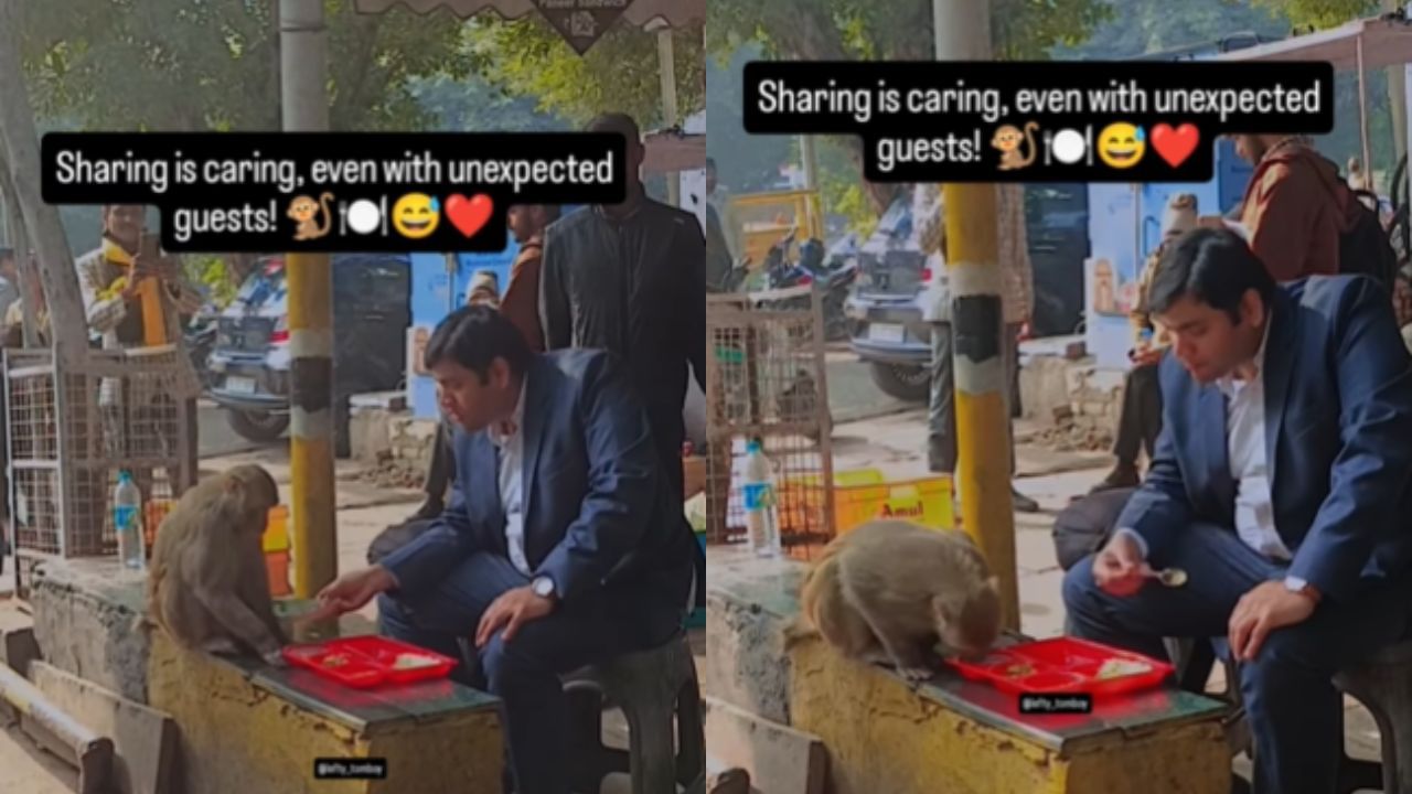 Viral Video : இதுதான் மனிதாபிமானம்.. குரங்குடன் ஒரே தட்டில் சாப்பிட்ட நபர்.. வைரல் வீடியோ! Viral Video : இதுதான் மனிதாபிமானம்.. குரங்குடன் ஒரே தட்டில் சாப்பிட்ட நபர்.. வைரல் வீடியோ!