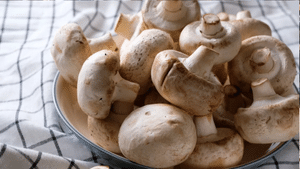 Mushrooms Health Benefits: அட! காளான் சாப்பிடுவதால் உடலுக்கு இவ்வளவு நன்மைகளா?