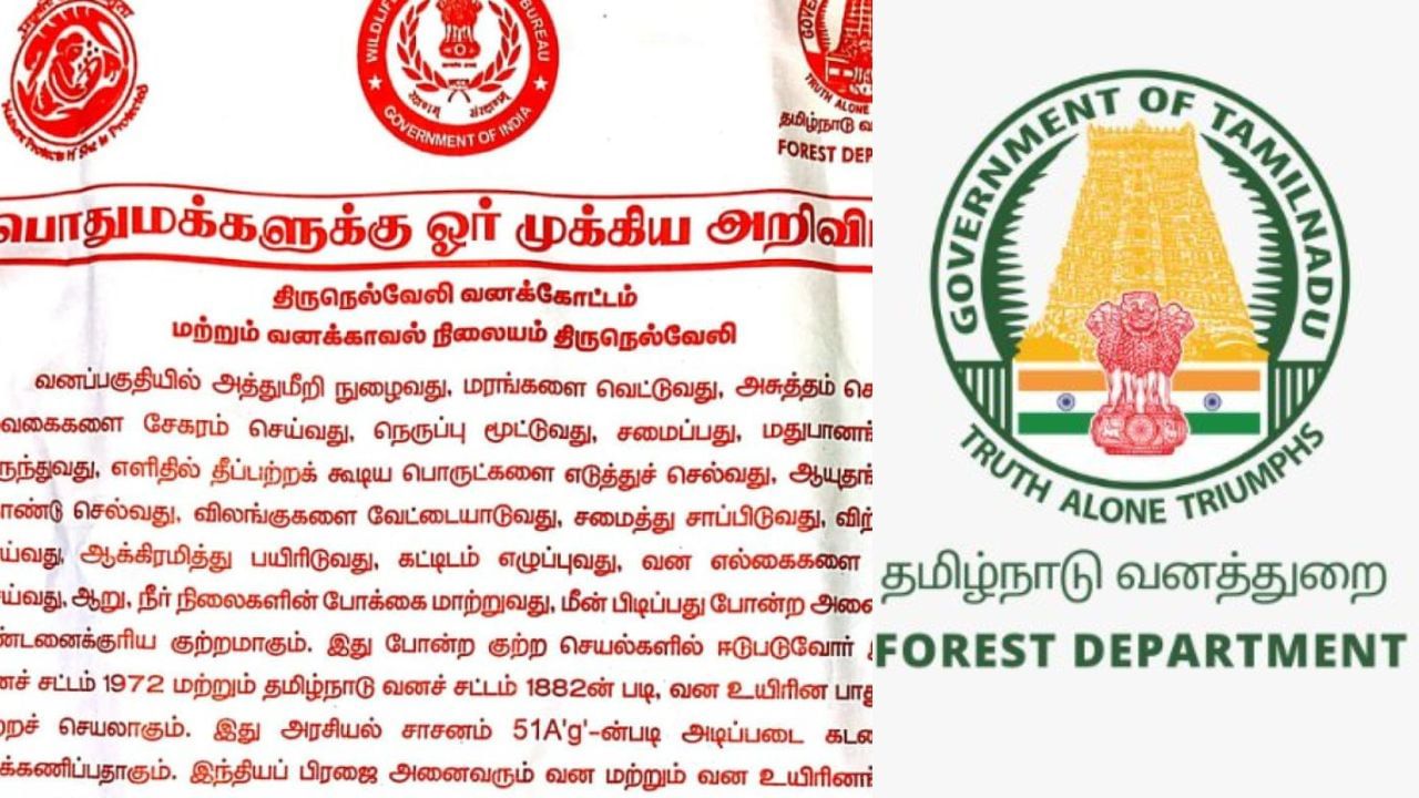 நெல்லை: காட்டுக்குள் சென்றால் இதுதான் நடக்கும்… வனத்துறை எச்சரிக்கை..! நெல்லை: காட்டுக்குள் சென்றால் இதுதான் நடக்கும்… வனத்துறை எச்சரிக்கை..!