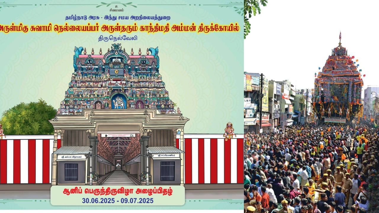 கொடியேற்றம் முதல் தேரோட்டம் வரை.. நெல்லையப்பர் கோயில் ஆனித் திருவிழா! கொடியேற்றம் முதல் தேரோட்டம் வரை.. நெல்லையப்பர் கோயில் ஆனித் திருவிழா!