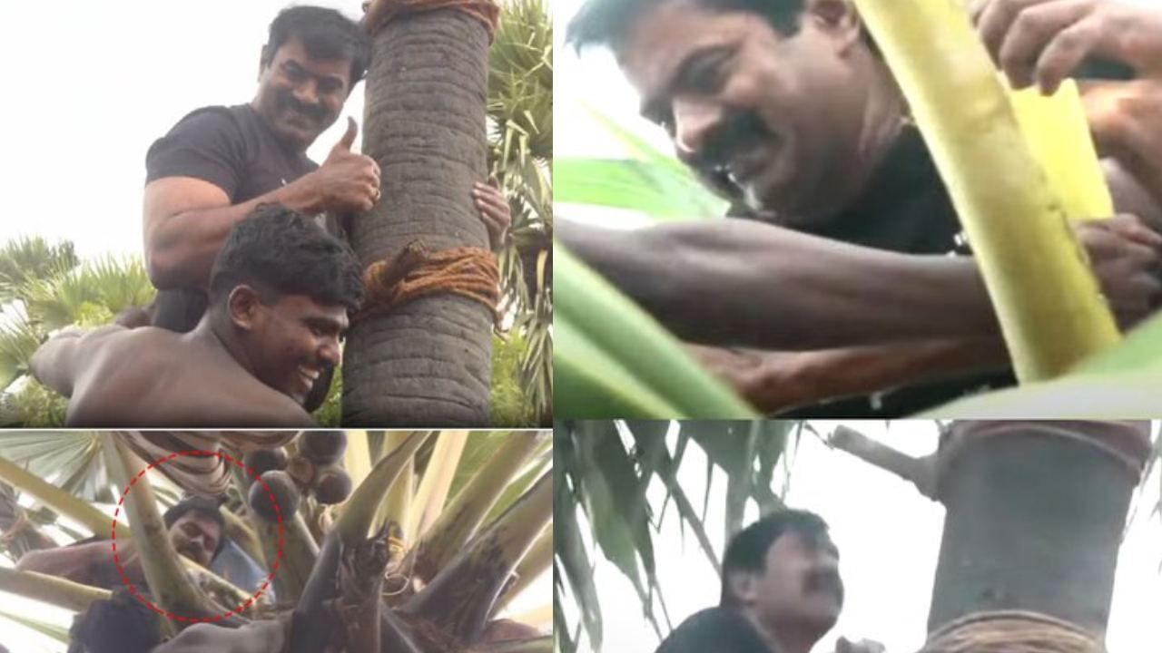 Seeman’s Palm Tree Climb: பனை ஏறி கள் இறக்கிய சீமான்.. அடுத்த போராட்டம் குறித்தும் பகிரங்க அறிவிப்பு! Seeman’s Palm Tree Climb: பனை ஏறி கள் இறக்கிய சீமான்.. அடுத்த போராட்டம் குறித்தும் பகிரங்க அறிவிப்பு!