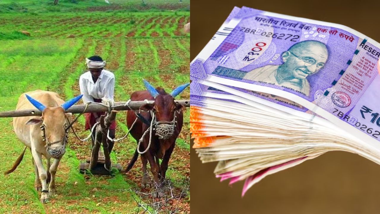 PM Kisan : பிஎம் கிசான் 20வது தவணை எப்போது கிடைக்கும்?.. வெளியான முக்கிய தகவல்! PM Kisan : பிஎம் கிசான் 20வது தவணை எப்போது கிடைக்கும்?.. வெளியான முக்கிய தகவல்!
