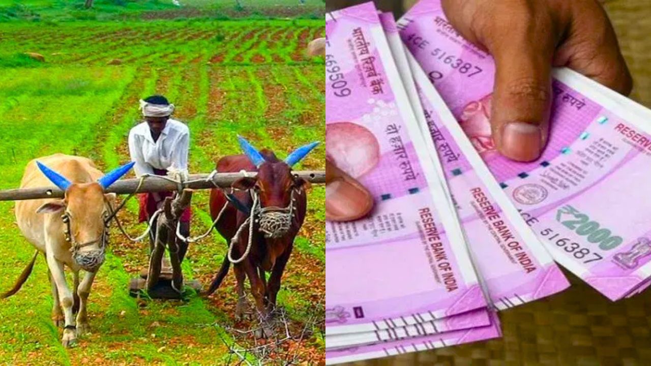 PM Kisan : விரைவில் பிஎம் கிசான் 20வது தவணை.. வெளியான முக்கிய தகவல்! PM Kisan : விரைவில் பிஎம் கிசான் 20வது தவணை.. வெளியான முக்கிய தகவல்!