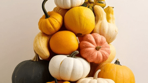 Pumpkin Health Benefits: கண் பார்வைக்கு நல்லது… உடல் எடை குறையும் – பூசணியில் இவ்வளவு நன்மைகளா?