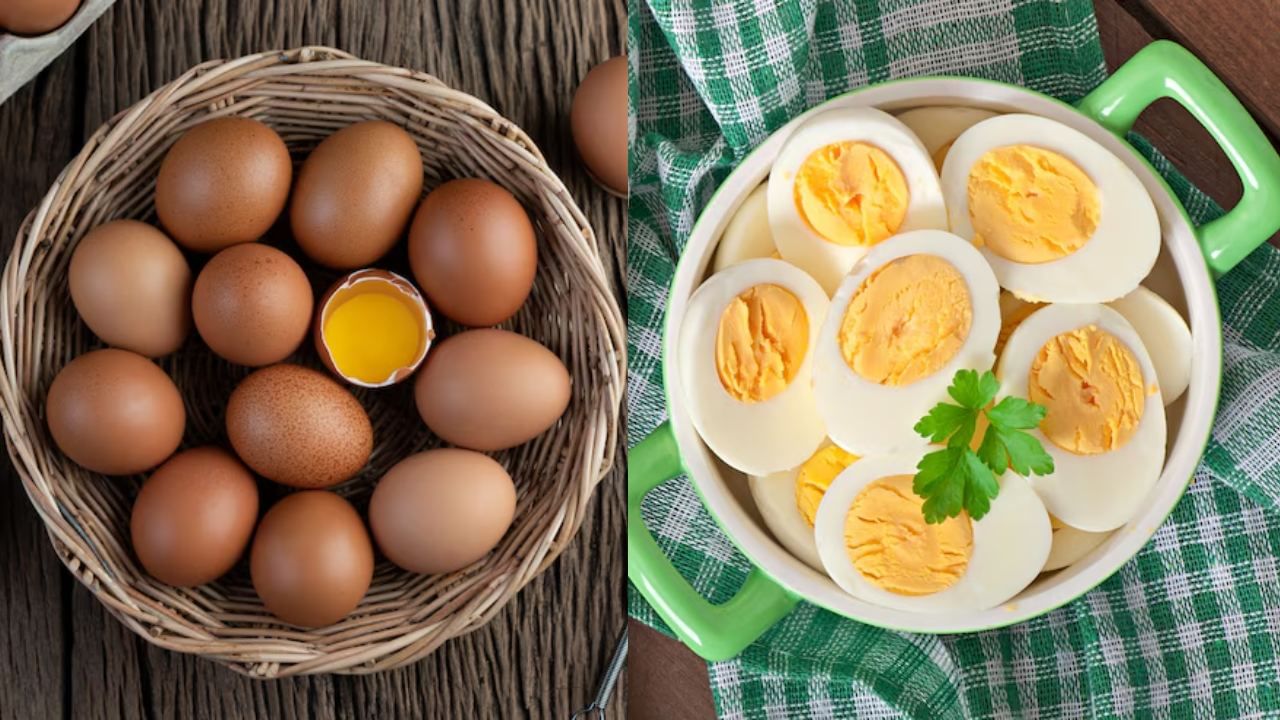 Health Tips: பச்சையாக முட்டை சாப்பிடுவது ஆரோக்கியமானதா..? வேகவைத்த முட்டை சிறந்ததா..? Health Tips: பச்சையாக முட்டை சாப்பிடுவது ஆரோக்கியமானதா..? வேகவைத்த முட்டை சிறந்ததா..?