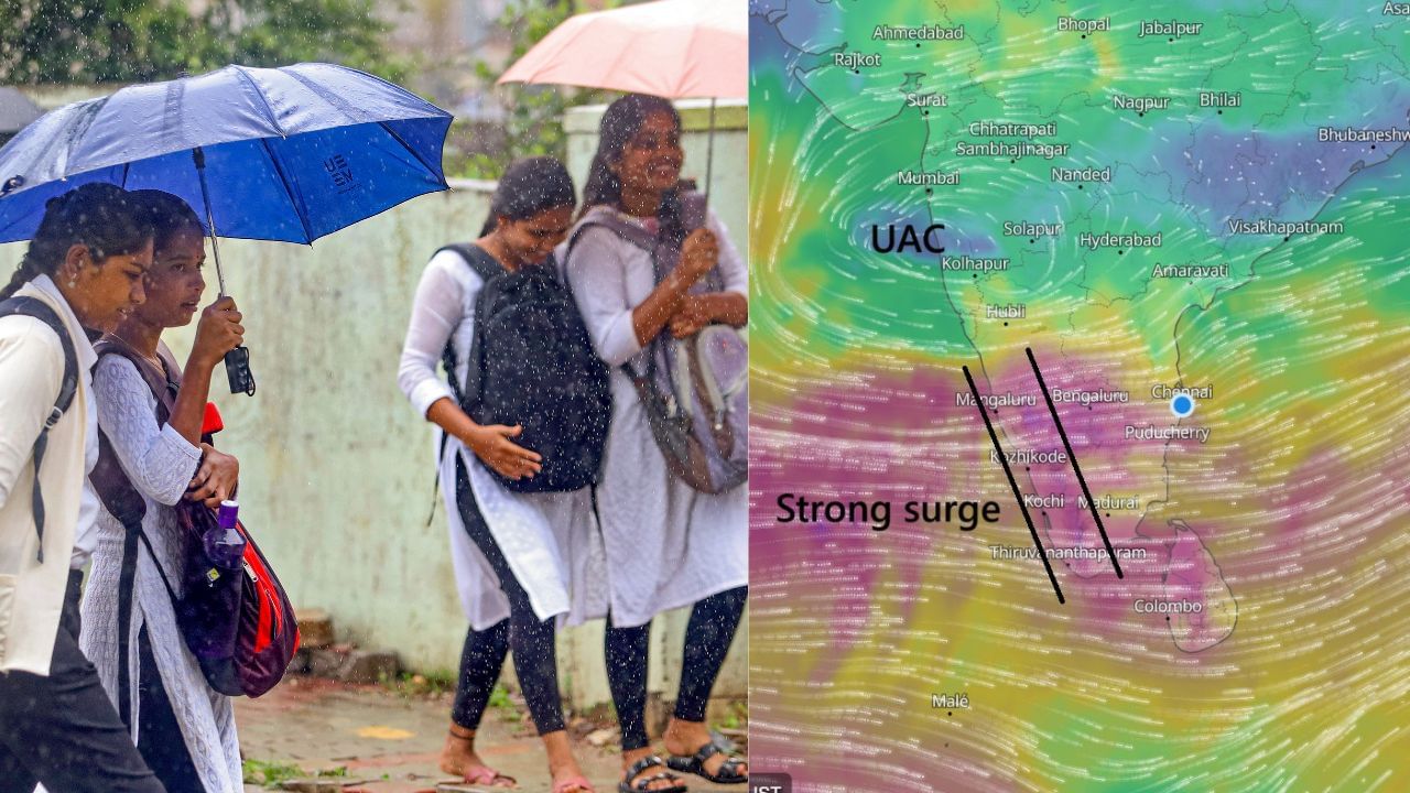 தொடர் மழை எதிரொலி.. நீலகிரியில் பள்ளிகளுக்கு இன்று விடுமுறை.. தொடர் மழை எதிரொலி.. நீலகிரியில் பள்ளிகளுக்கு இன்று விடுமுறை..