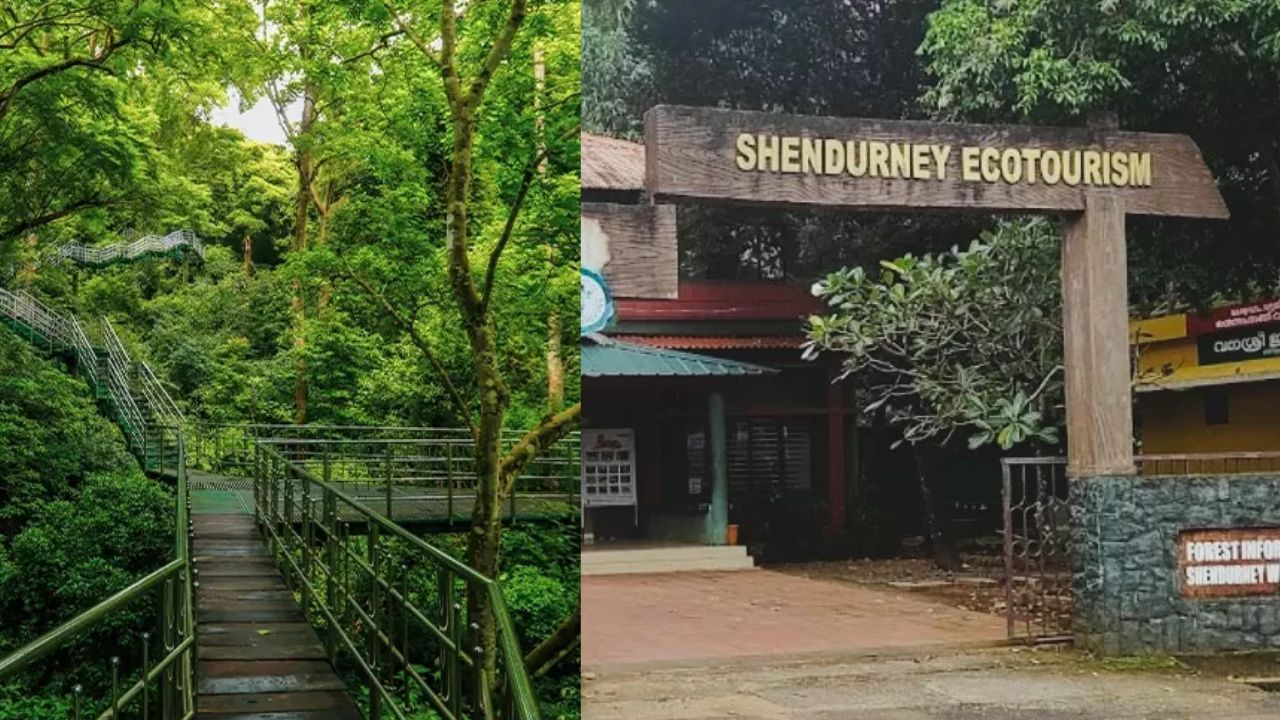 கேரளாவின் செந்தூருணி காட்டில் ஒரு சாகச மலையேற்ற அனுபவத்திற்கு நீங்கள் தயாரா? கேரளாவின் செந்தூருணி காட்டில் ஒரு சாகச மலையேற்ற அனுபவத்திற்கு நீங்கள் தயாரா?