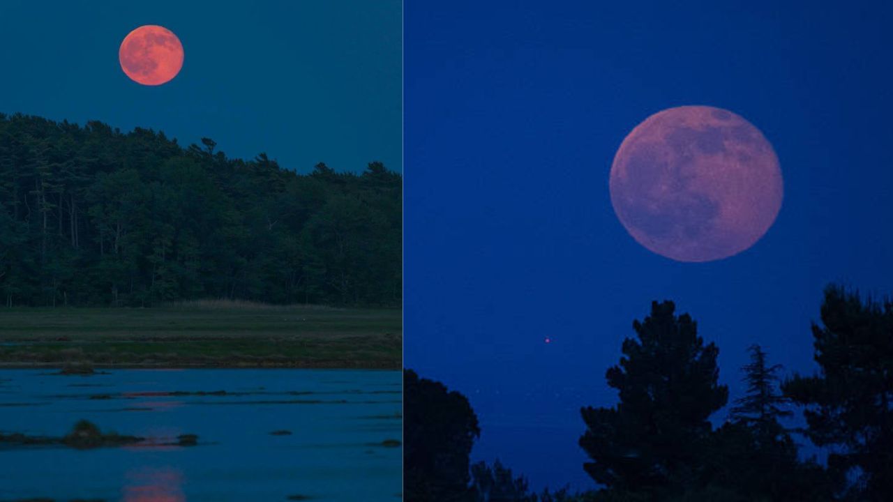 Strawberry Moon 2025: வானில் நடக்கும் அதிசயம்! பார்க்க ரெடியா? Strawberry Moon 2025: வானில் நடக்கும் அதிசயம்! பார்க்க ரெடியா?