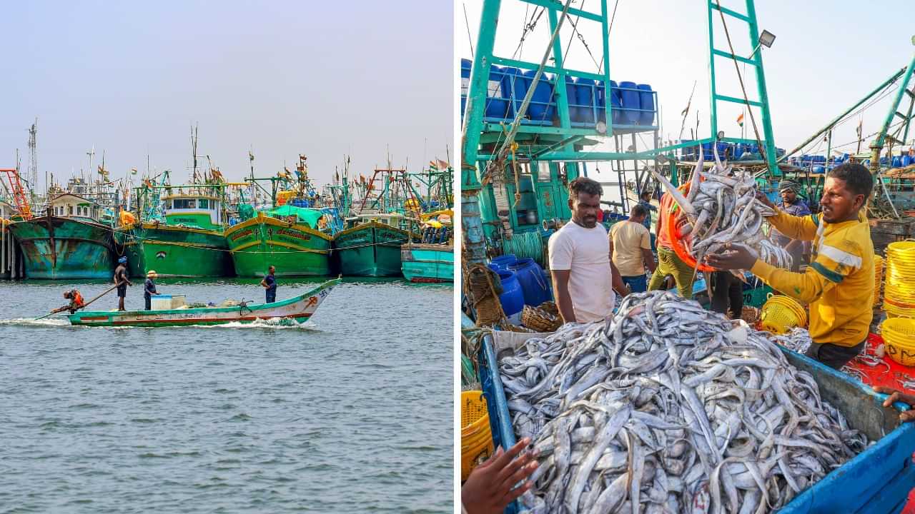 குறையும் மீன் விலை.. முடிந்தது மீன்பிடி தடைக்காலம்.. 61 நாட்களுக்கு பிறகு கடலுக்கு சென்ற மீனவர்கள்