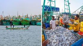 குறையும் மீன் விலை.. முடிந்தது மீன்பிடி தடைக்காலம்.. 61 நாட்களுக்கு பிறகு கடலுக்கு சென்ற மீனவர்கள் குறையும் மீன் விலை.. முடிந்தது மீன்பிடி தடைக்காலம்.. 61 நாட்களுக்கு பிறகு கடலுக்கு சென்ற மீனவர்கள்...