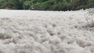 Thenpennai River : தென்பெண்ணை ஆற்றில் பொங்கும் ரசாயன நுரை.. சுற்றுசூழல் பாதிக்கும் என விவசாயிகள், பொதுமக்கள் வேதனை!
