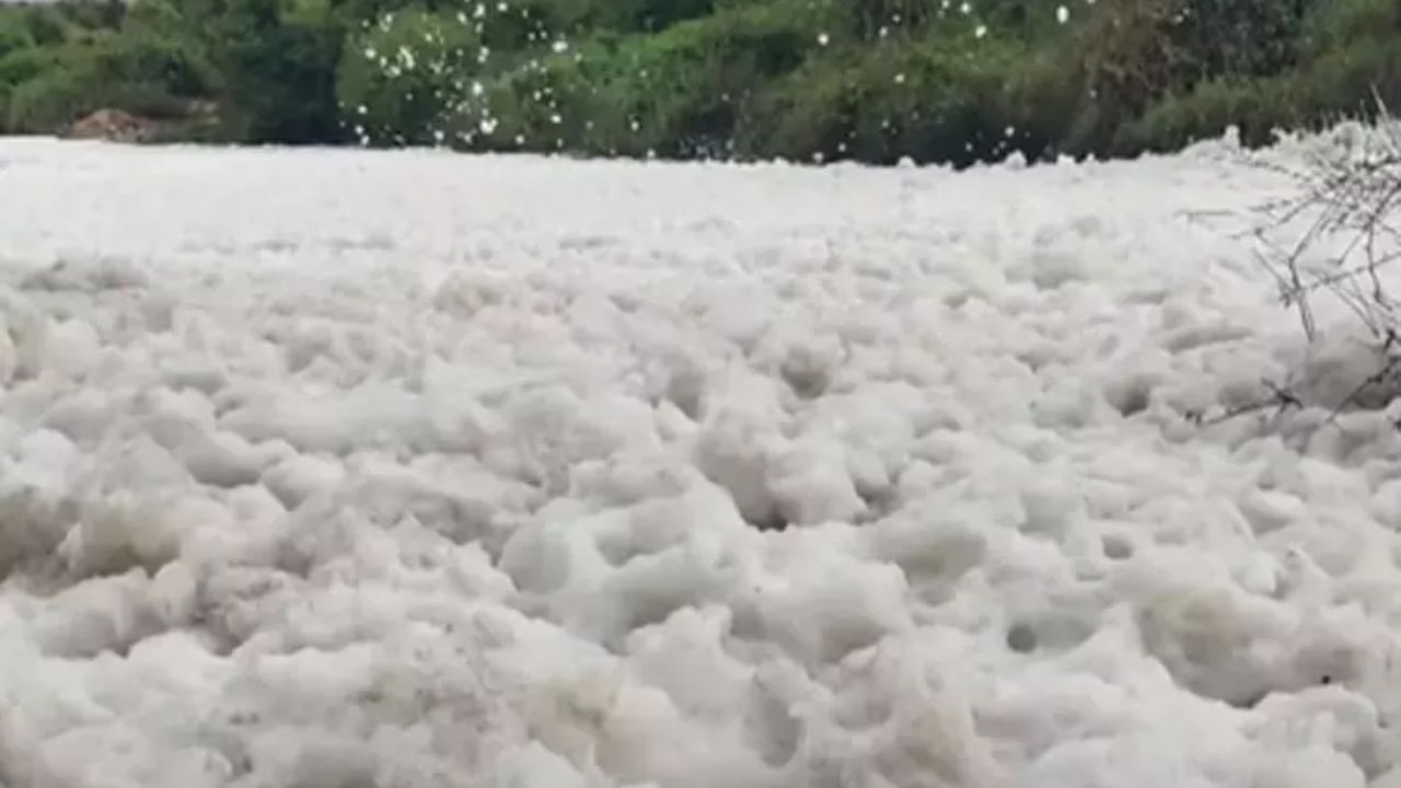 Thenpennai River : தென்பெண்ணை ஆற்றில் பொங்கும் ரசாயன நுரை.. சுற்றுசூழல் பாதிக்கும் என விவசாயிகள், பொதுமக்கள் வேதனை! Thenpennai River : தென்பெண்ணை ஆற்றில் பொங்கும் ரசாயன நுரை.. சுற்றுசூழல் பாதிக்கும் என விவசாயிகள், பொதுமக்கள் வேதனை!