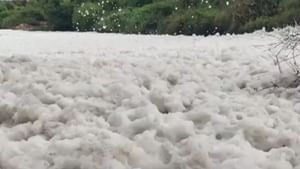 Thenpennai River : தென்பெண்ணை ஆற்றில் பொங்கும் ரசாயன நுரை.. சுற்றுசூழல் பாதிக்கும் என விவசாயிகள், பொதுமக்கள் வேதனை!