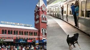 சென்னை: ரயில் பயணிகளுக்கு காவலனான “டைகர்”: தப்பிய திருடனை பிடித்த நாய்… சென்னை: ரயில் பயணிகளுக்கு காவலனான “டைகர்”: தப்பிய திருடனை பிடித்த நாய்…