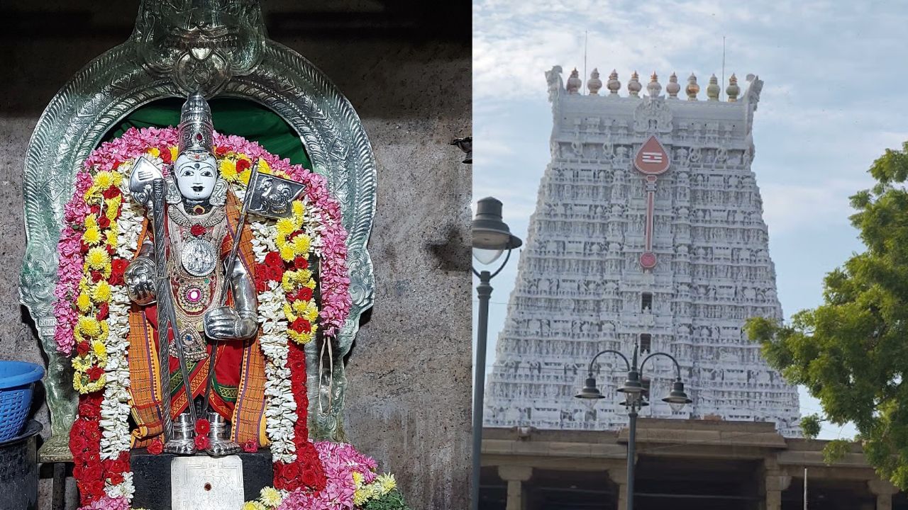 Tiruchendur: திருச்செந்தூரில் திருடு போன சிலை.. கனவில் வந்து வழிகாட்டிய முருகன்! Tiruchendur: திருச்செந்தூரில் திருடு போன சிலை.. கனவில் வந்து வழிகாட்டிய முருகன்!